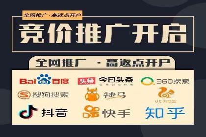 SEM外包策略在电商平台的成功案例